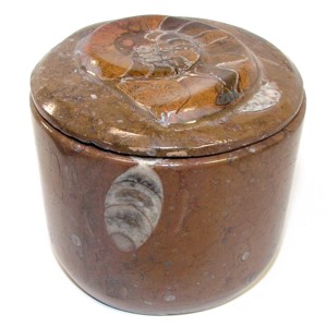 fossil round box