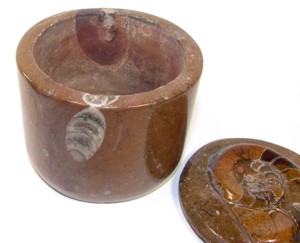 fossil round box