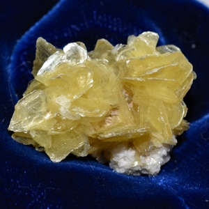 Yellow Muscovite