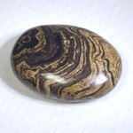 stromatolite palm stone
