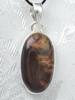 petrified wood pendant