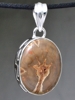 petrified wood pendant