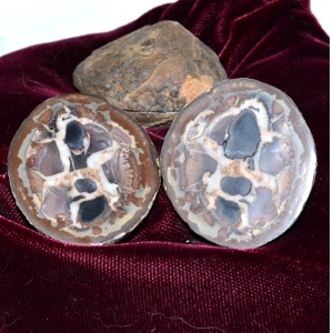 Septarian gem stone
